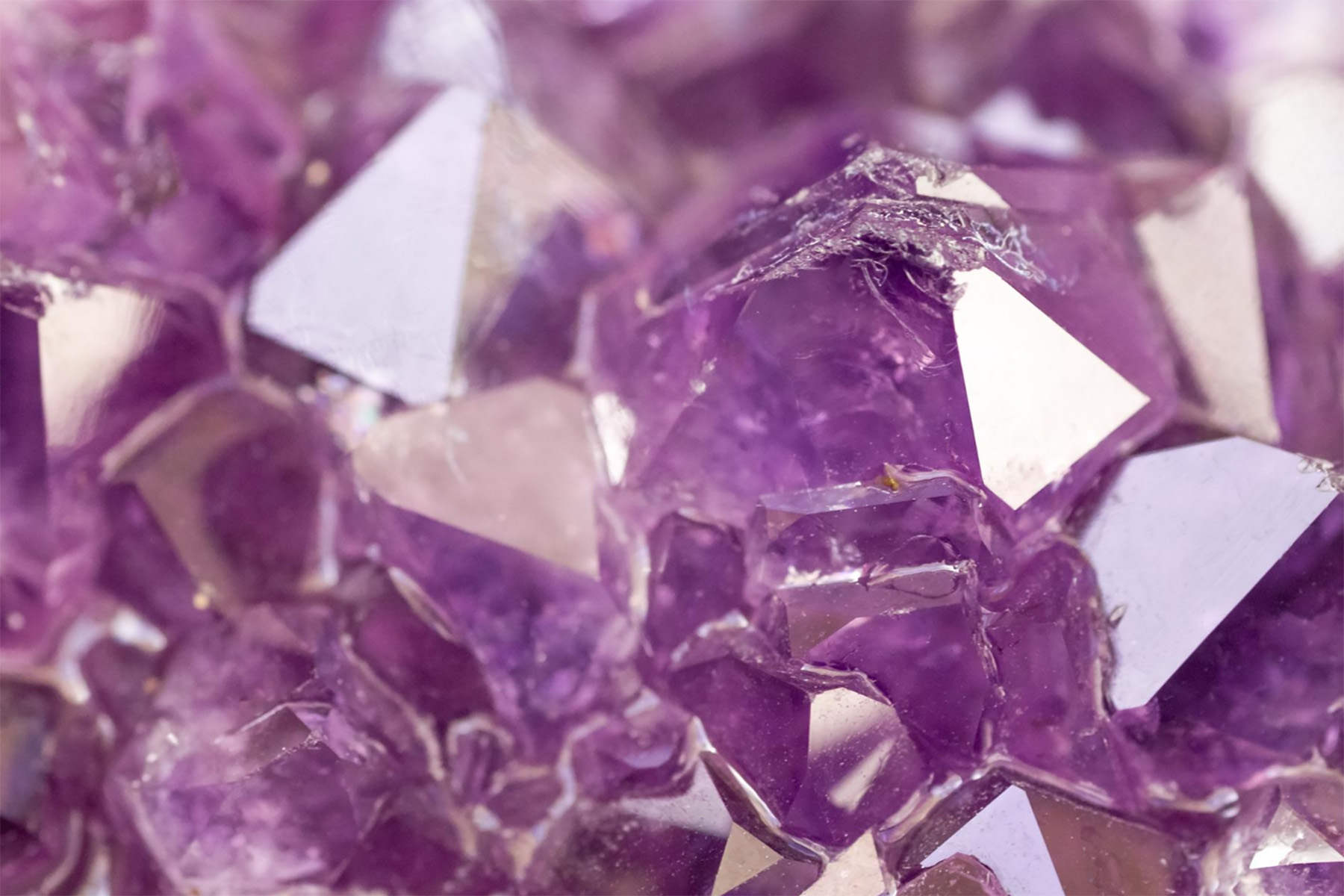 Banner_เครื่องประดับ_อเมทิสต์_Amethyst_Semi_Precious_February_Birthstone_Jewelry